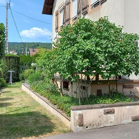 Studio D'Hotes A 10 Km De Gerardmer เลอโธลี ภายนอก รูปภาพ