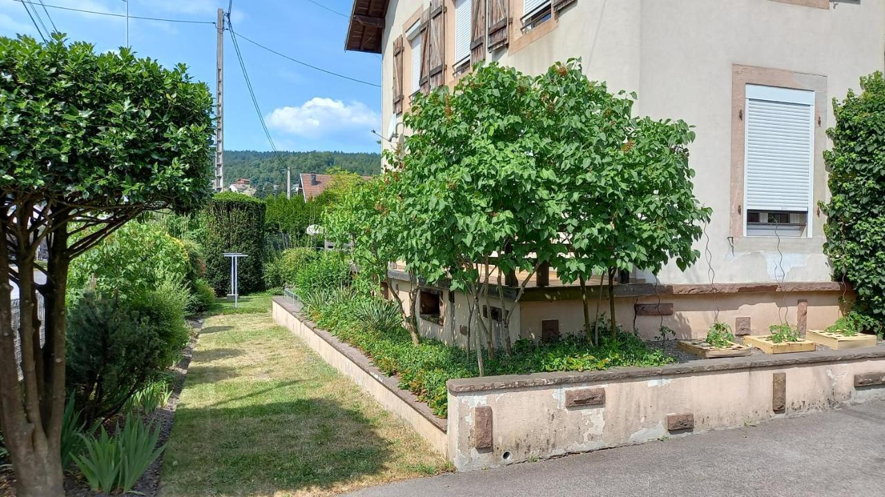 Studio D'Hotes A 10 Km De Gerardmer เลอโธลี ภายนอก รูปภาพ